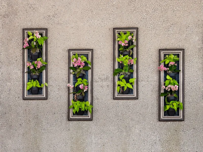 Seven Plants That Won't Quit: Building a Living Wall That Survives Albany Weather