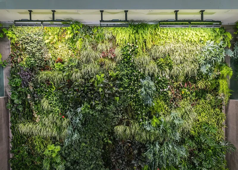 After Dark: Giving Your Living Wall a Lighting Plan, Not Just a Sunlight Plan