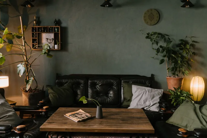 Can a Living Wall Actually Humidify Your Albany Home? We Did the Math