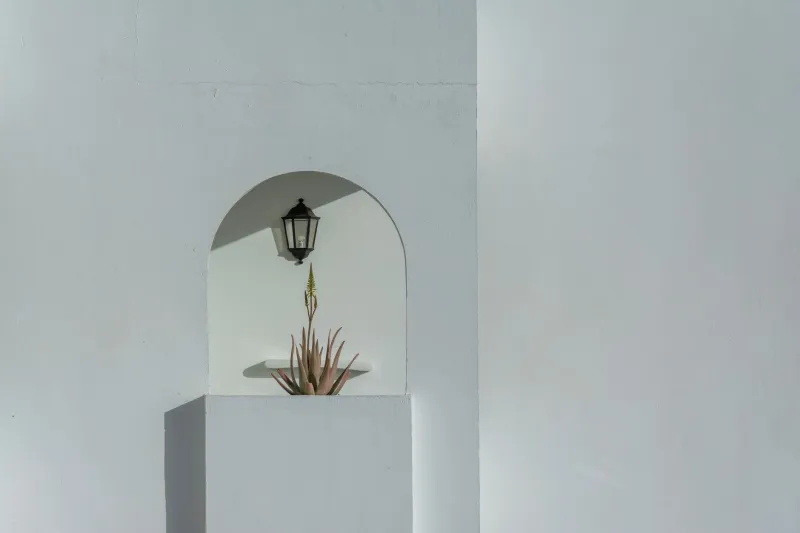Stop Treating Plants Like Pillows: The Case for Designing Greenery Into the Blueprint