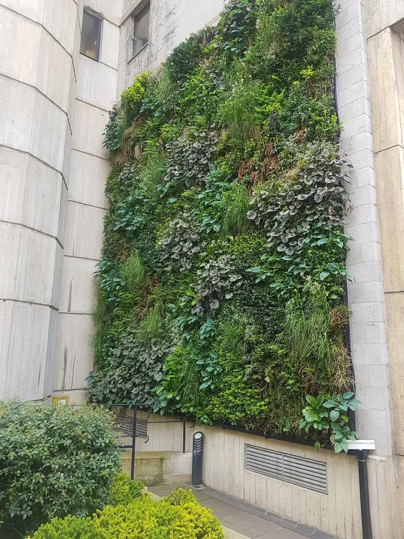 The Stairwell Nobody Decorates: Turning Albany's Vertical Dead Zones Into Living Columns